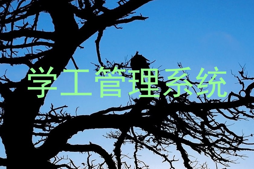 学工管理系统