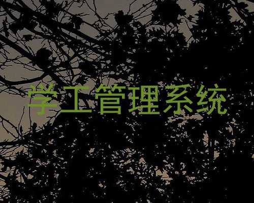 学工管理系统