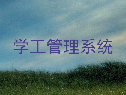 学工管理系统