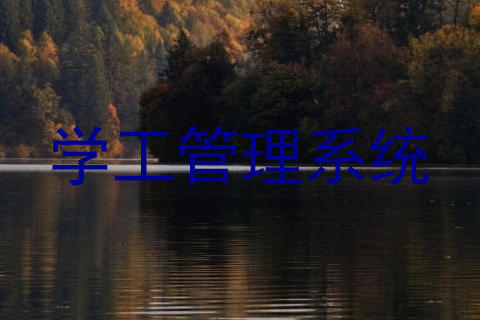 学工管理系统