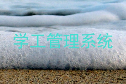 学工管理系统