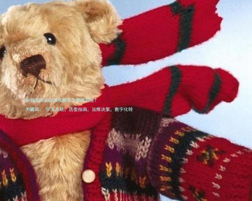 如何选择适合高校的学工管理系统?
关键词: 学工系统,选型指南,运维决策,数字化转
