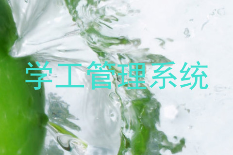 学工管理系统
