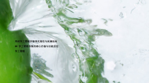 高校学工管理系统优化路径与实操指南
## 学工管理系统的核心价值与功能定位
学工管理