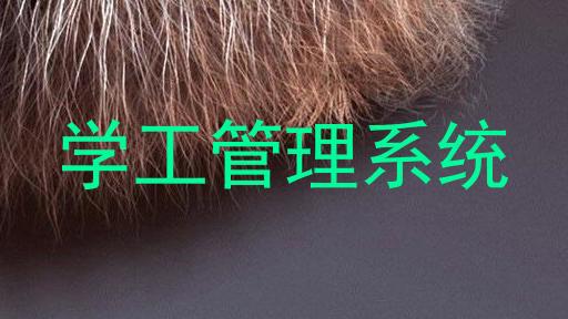 学工管理系统