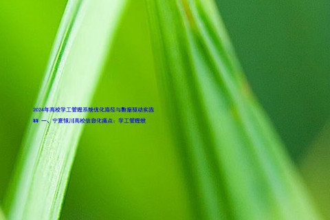 2024年高校学工管理系统优化路径与数据驱动实践
## 一、宁夏银川高校信息化痛点:学工管理效