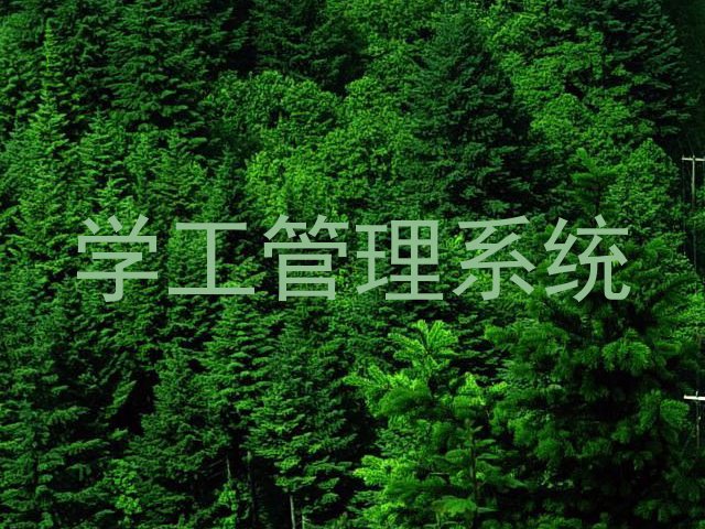 学工管理系统