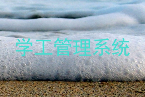 学工管理系统