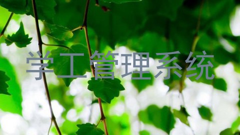 学工管理系统