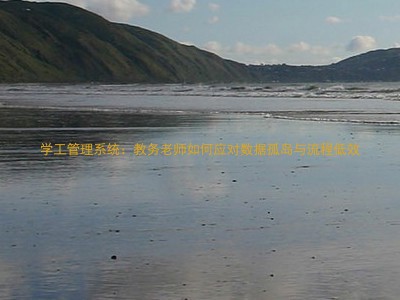 学工管理系统:教务老师如何应对数据孤岛与流程低效