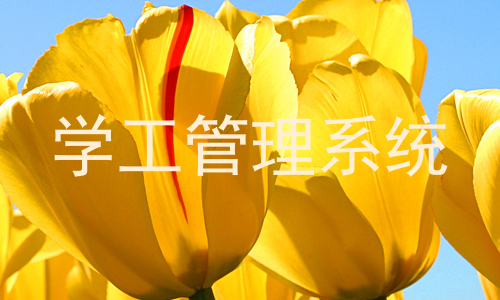 学工管理系统