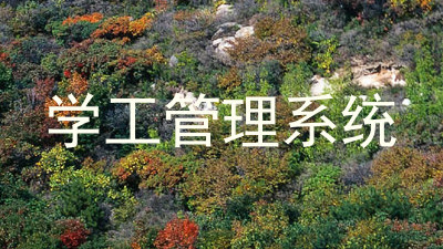 学工管理系统