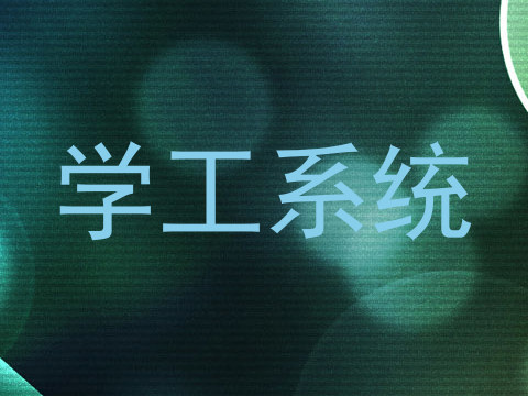 学工系统