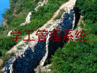 学工管理系统