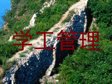 学工管理