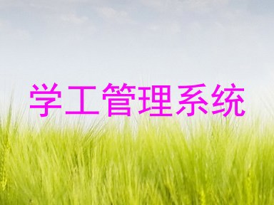 学工管理系统