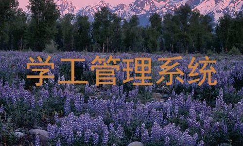 学工管理系统