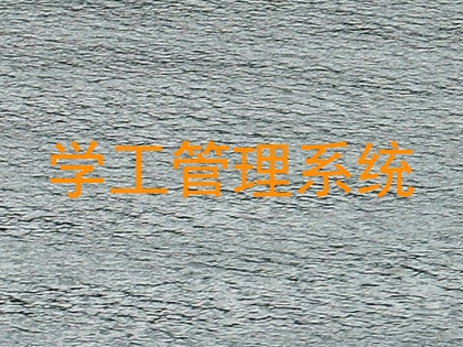学工管理系统