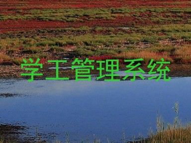 学工管理系统