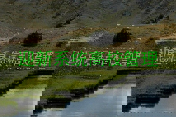 迎新系统高校管理