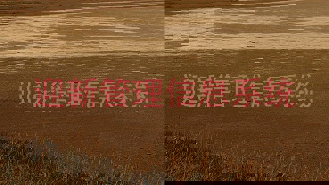 迎新管理信息系统