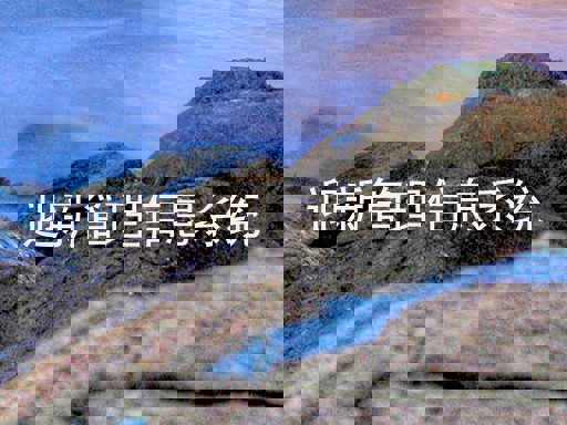 迎新管理信息系统