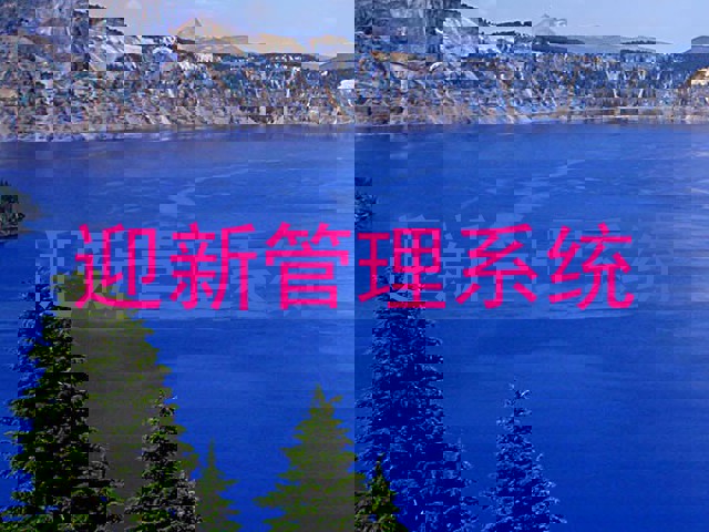 迎新管理系统
