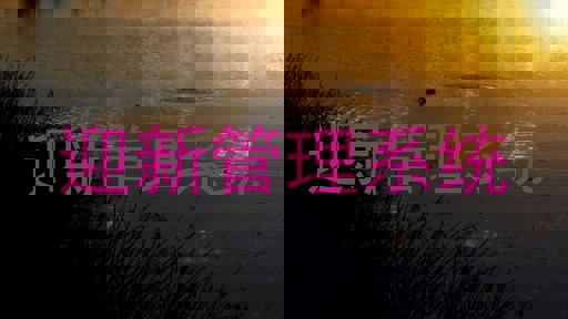 迎新管理系统