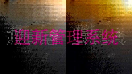 迎新管理系统