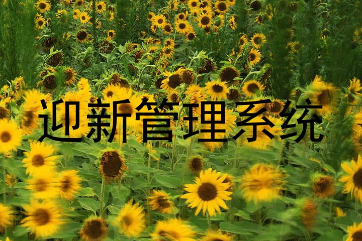 迎新管理系统