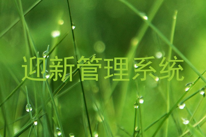 迎新管理系统