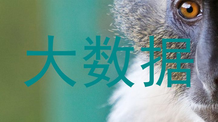 大数据