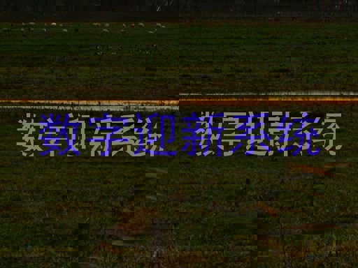 数字迎新系统