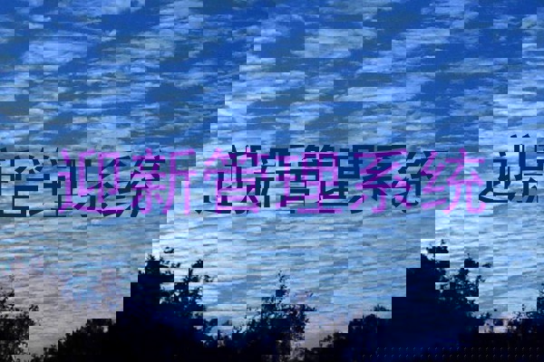 迎新管理系统