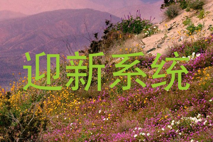迎新系统