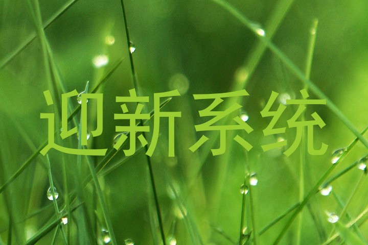 迎新系统