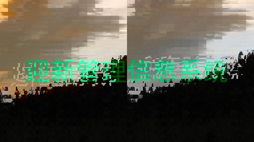 迎新管理信息系统