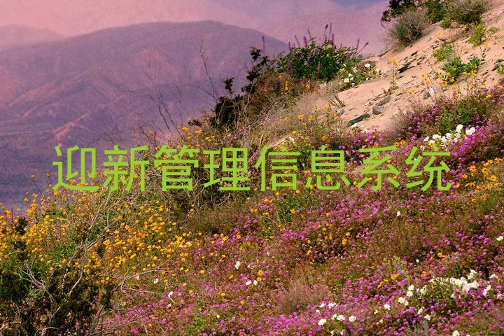 迎新管理信息系统