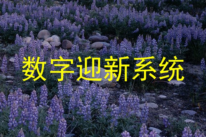 数字迎新系统