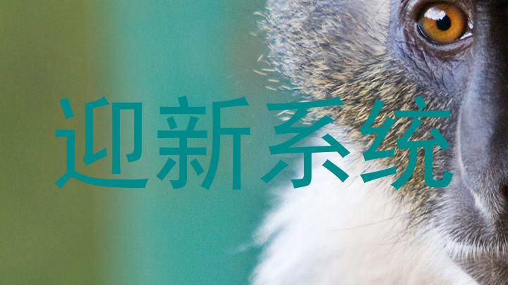 迎新系统