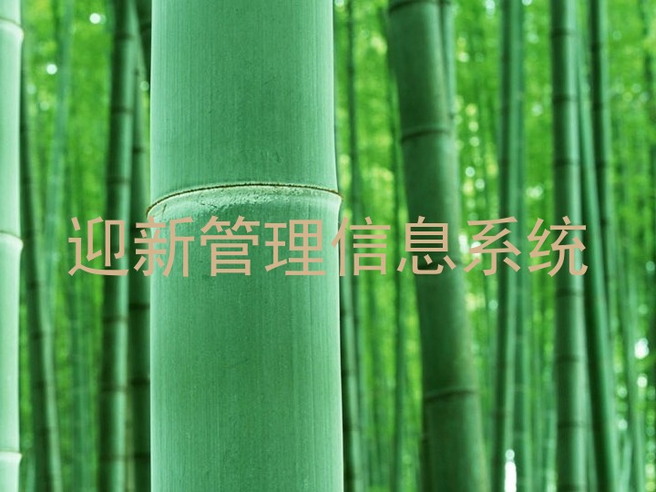 迎新管理信息系统