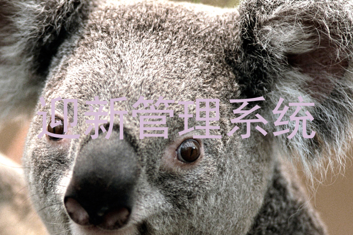 迎新管理系统