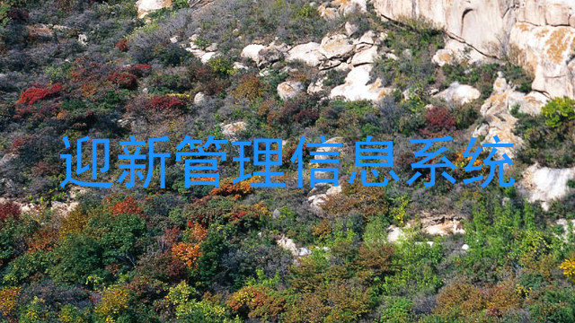 迎新管理信息系统