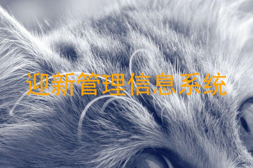 迎新管理信息系统