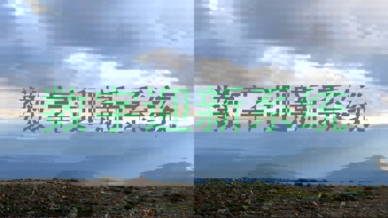 数字迎新系统