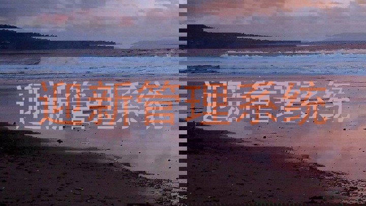 迎新管理系统