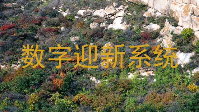 数字迎新系统