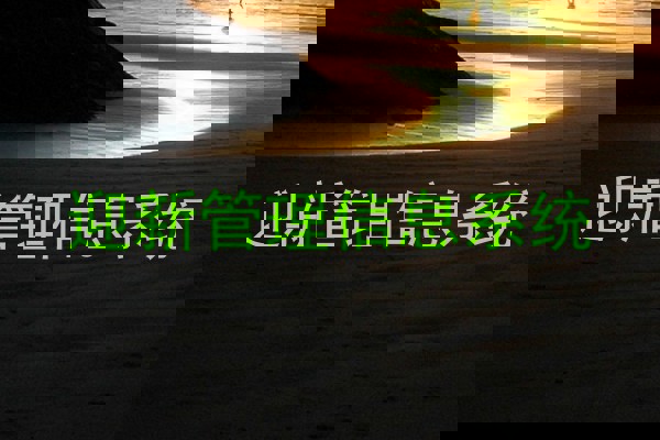 迎新管理信息系统