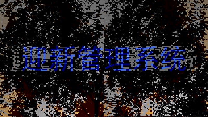 迎新管理系统