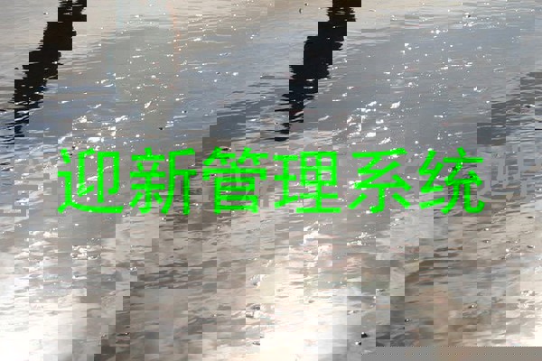 迎新管理系统